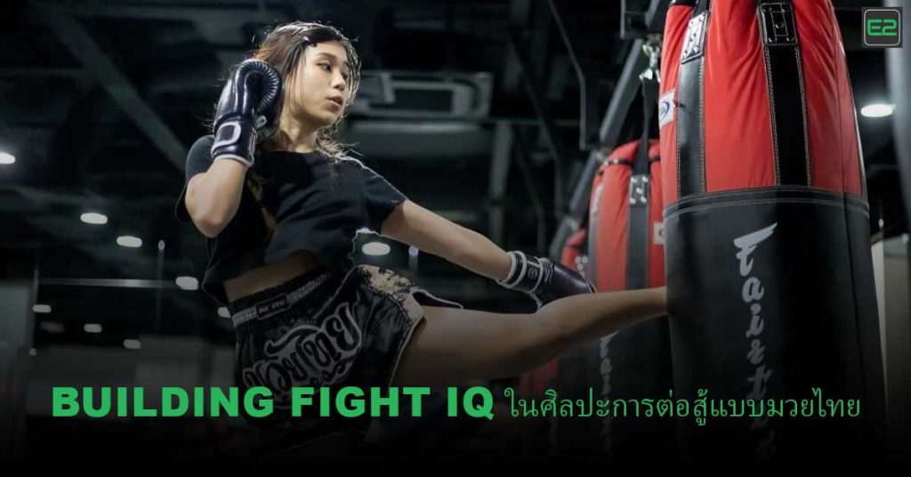 Building Fight IQ