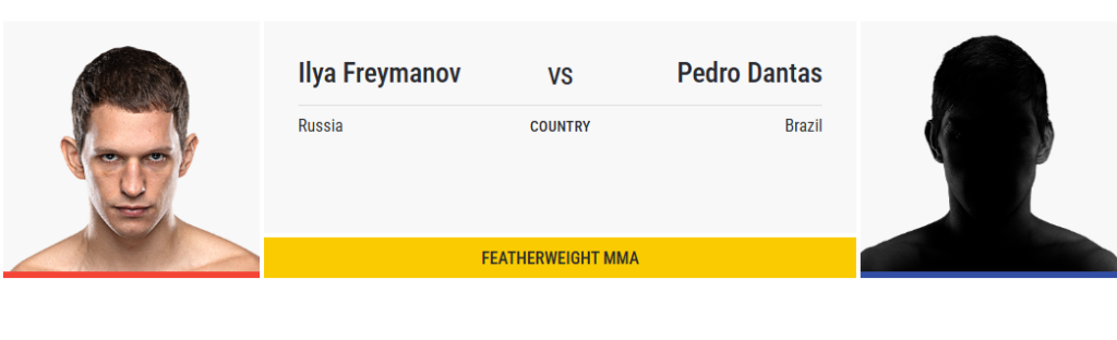 ONE Fight Night 33