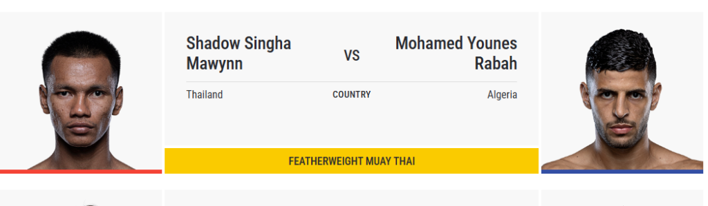 ONE Fight Night 33