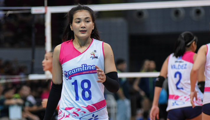 Thai Volleyball Stars